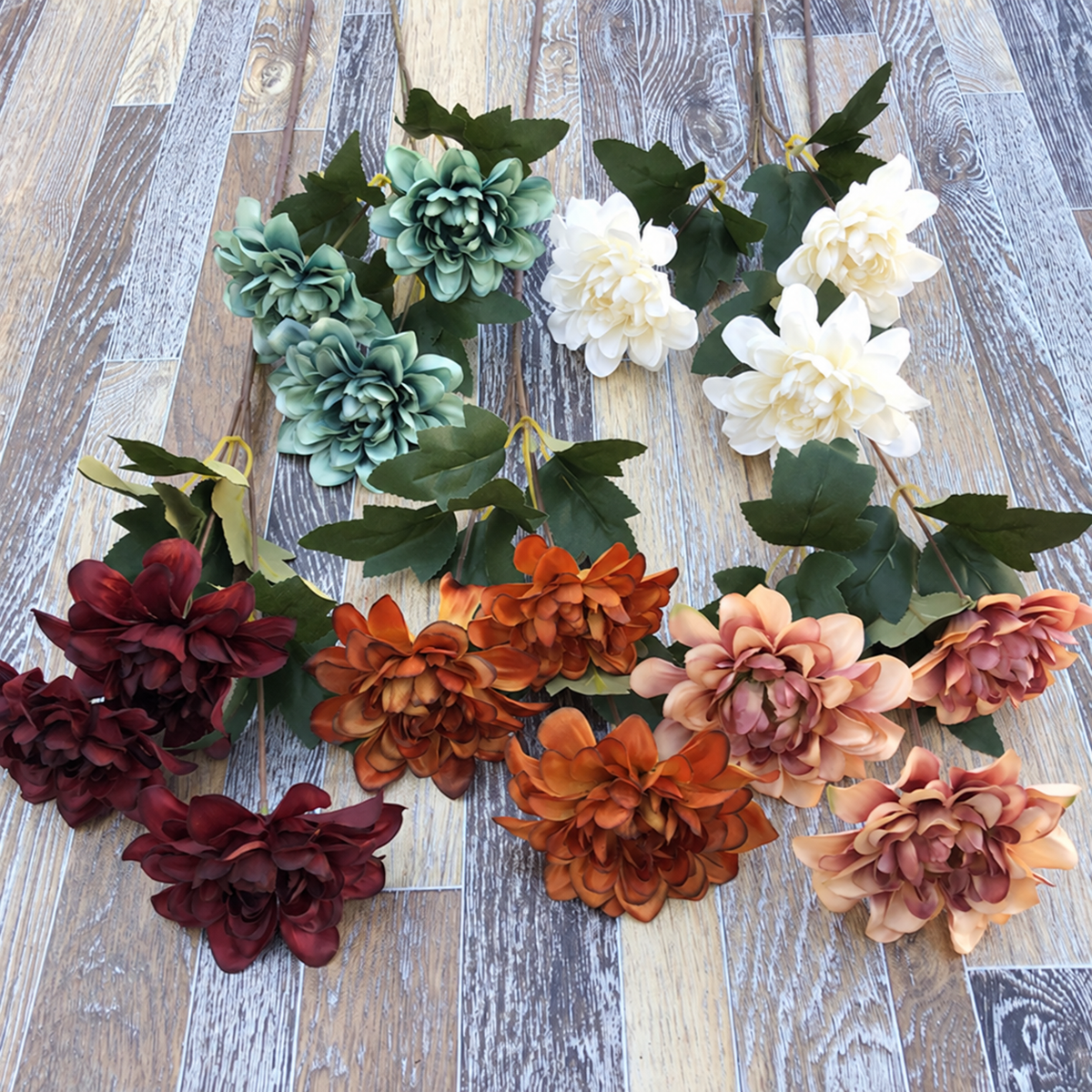 dahlia_color_collection