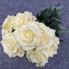 offwhite_rose_bunch_studio_shot
