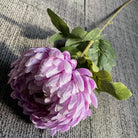 dense_petal_chrysanthemum_macro_detail