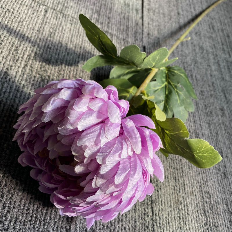 dense_petal_chrysanthemum_macro_detail