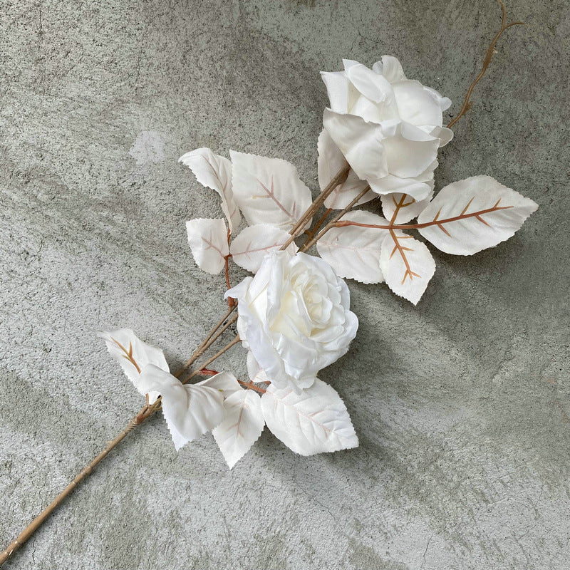 cream_rose_fur_backdrop_shot