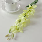 ivory_dendrobium_bloom_bunch_for_vases