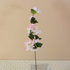 vase_display_bougainvillea