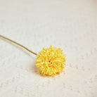 glass_vase_pompom_display