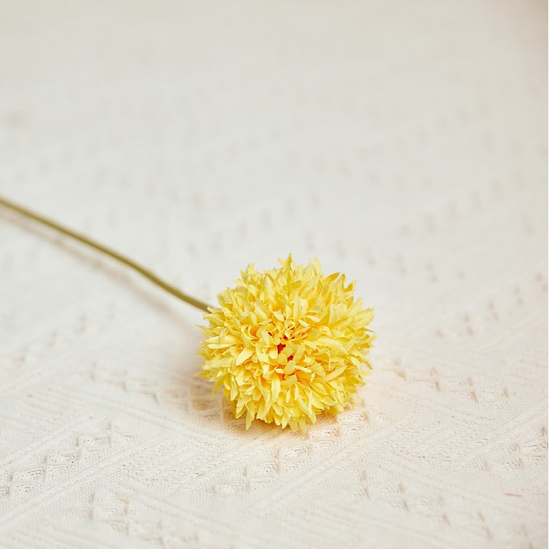 glass_vase_pompom_display