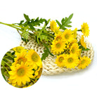 synthetic_daisy_yellow_bouquet