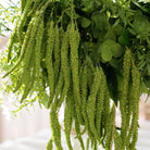 forest‑boho‑table‑centerpiece‑reception‑tablescape‑decor‑green‑trailing‑foliage