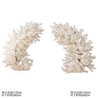 white faux cherry blossom arch set for banquet styling