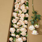 flatlay-multicolor-austin-silk-roses