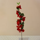 window_display_bougainvillea
