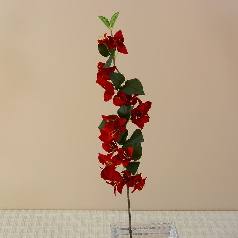 window_display_bougainvillea