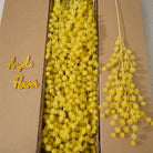 Multitone fake happy fruit stems DIY floral design