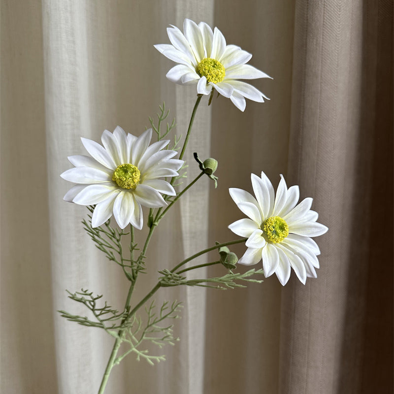 fall_summer_daisy_centerpiece
