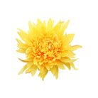 Off white faux spider mum craft flower
