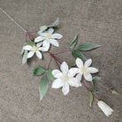 faux-clematis-green-leaf-stem-closeup
