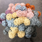foggy_blue_hydrangea_double_sprig