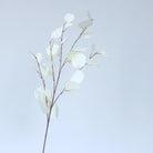 burgundy_eucalyptus_branch_shot