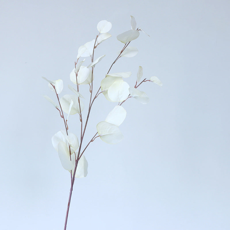 burgundy_eucalyptus_branch_shot