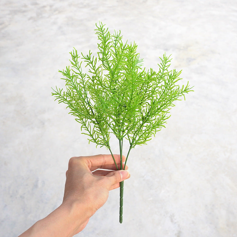 emerald_plumosa_fern_home_arrange