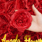 Florist silk rose head supply
