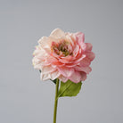 multi_color_faux_dahlia_collection_layout