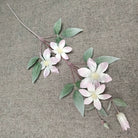 large-silk-clematis-bloom-petal-texture
