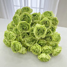 natural_setup_artificial_rose_stilllife